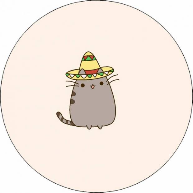 Pusheen sombreróban 19,5 cm