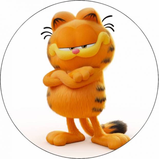 Ehető papír macska Garfield 19,5 cm